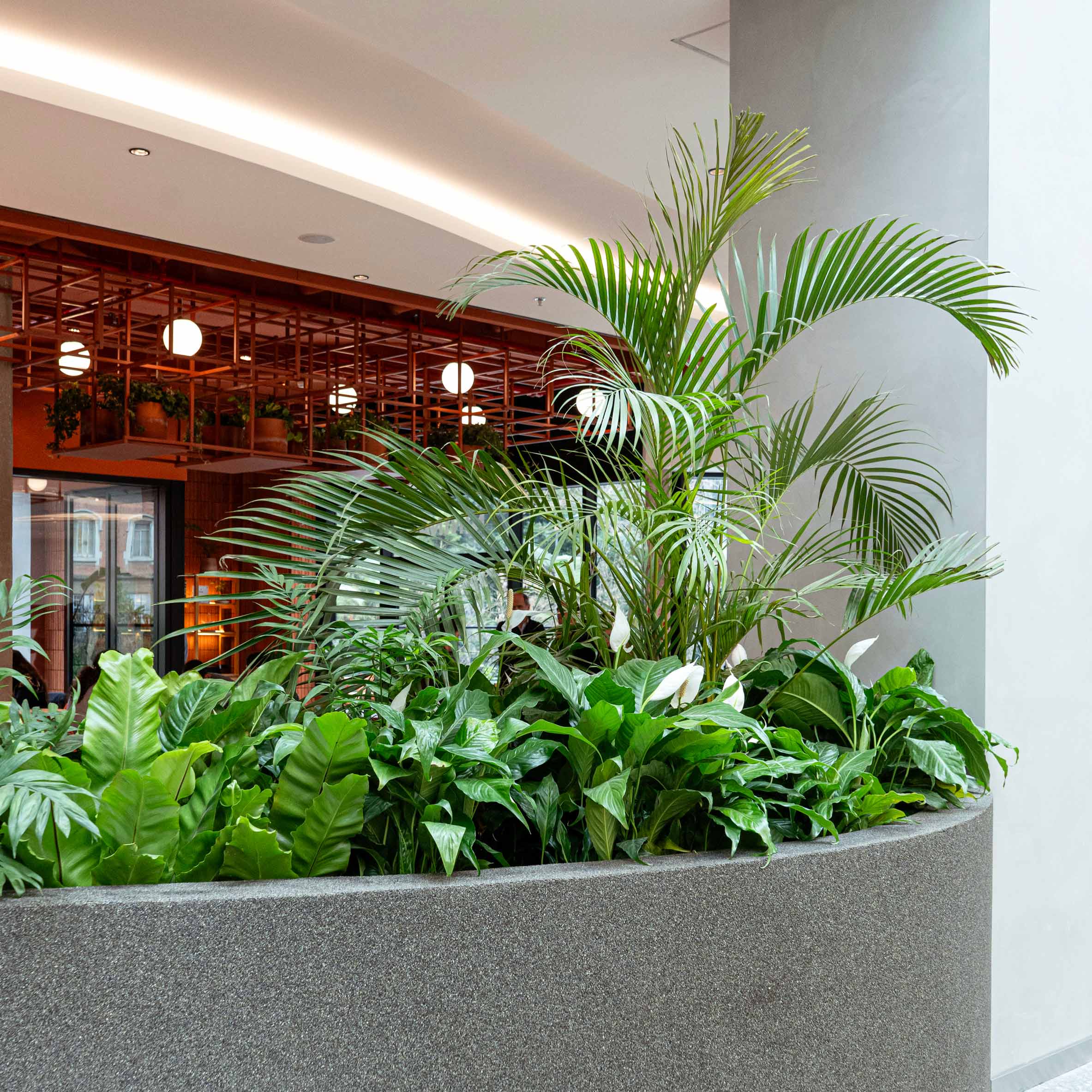 Eventos del solar centro comercial